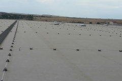 image-0-02-01-d3687cd634456f73e9f7d58b107d2bd2df89385b9d80bf6bdef22246fd802e8a-V