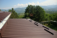 DSC01216