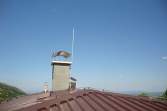 DSC01220