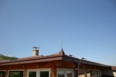 DSC01225