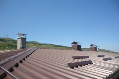 DSC01229