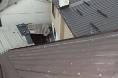 DSCF7769