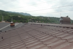 DSCF7795