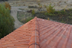SAM_0403