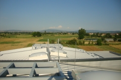 DSC01303
